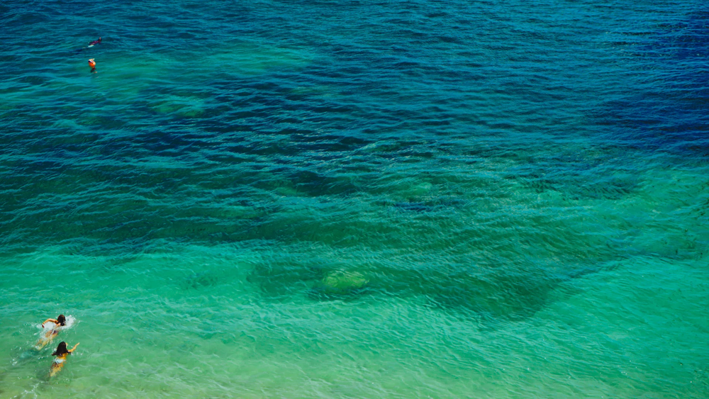 CLEANING OUR OCEANS